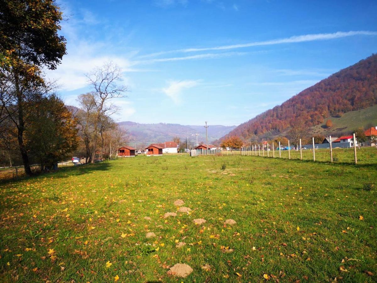 Casute Zavoi Bulz Vila Exterior foto